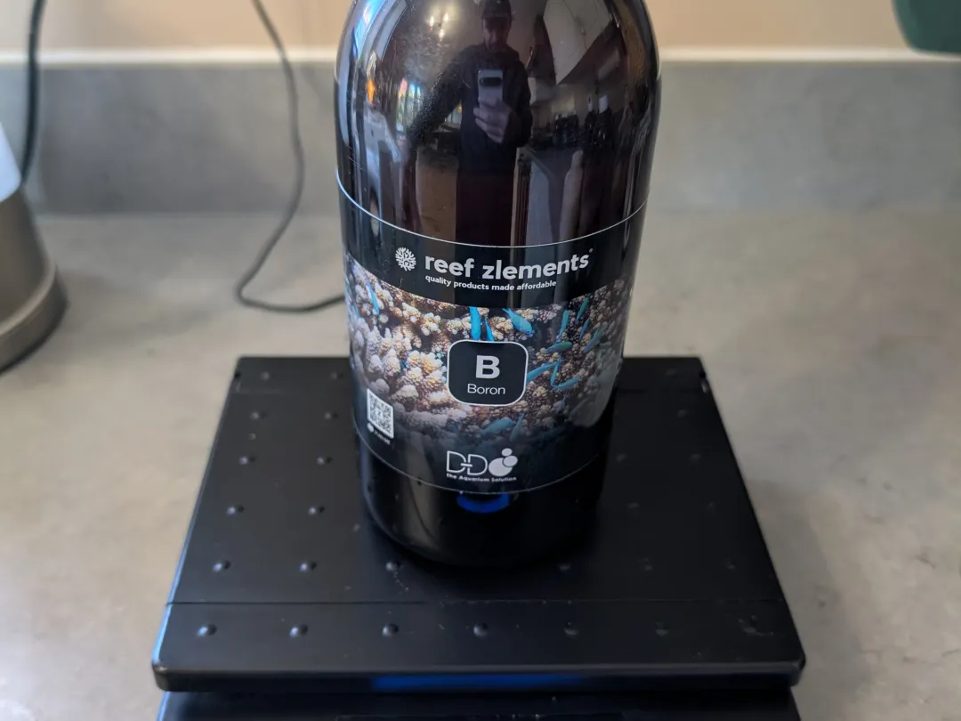 Reef Zlements B Boron, for sale on Aquarist Listings